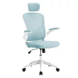 Ergonomic Office Chair with Lumbar Support and Headrest, Light Blue