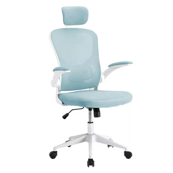 Ergonomic Office Chair with Lumbar Support and Headrest, Light Blue