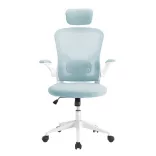 Ergonomic Office Chair with Lumbar Support and Headrest, Light Blue