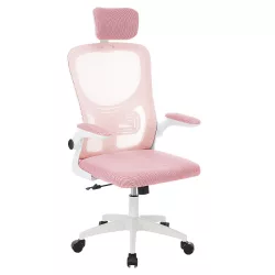   Ergonomic Office Chair with Lumbar Support and Headrest, Pink