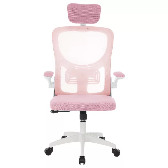 Ergonomic Office Chair with Lumbar Support and Headrest, Pink