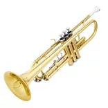 Trumpet