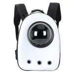 Pet Carrier Backpack, White