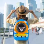 Pet Carrier Backpack, Lion Design