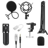 Desk-mounted Microphone with USB Connection