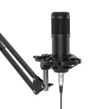 Desk-mounted Microphone with USB Connection