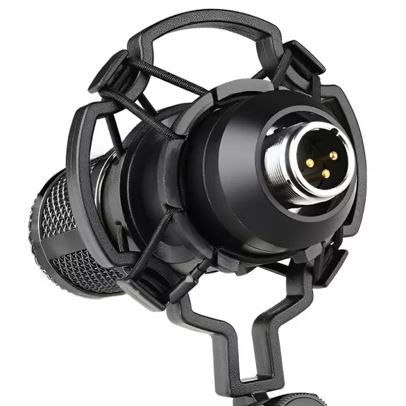 Desk-mounted Microphone with USB Connection