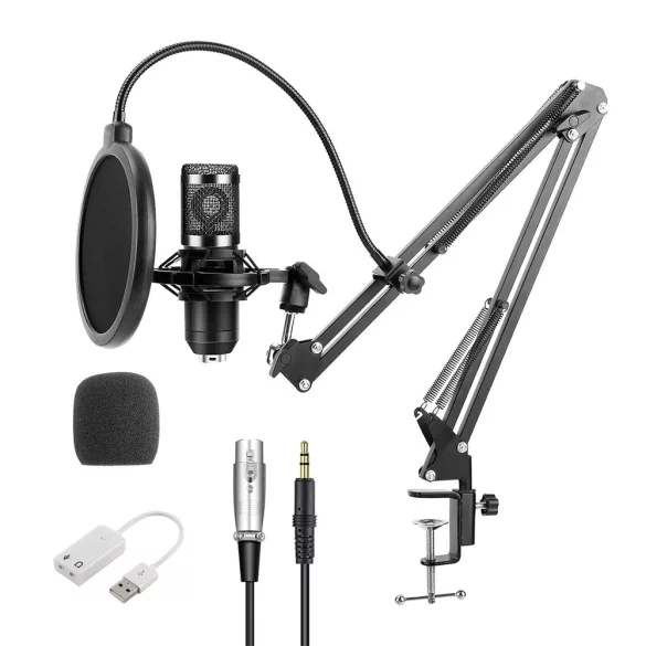Desk-mounted Microphone with USB Connection