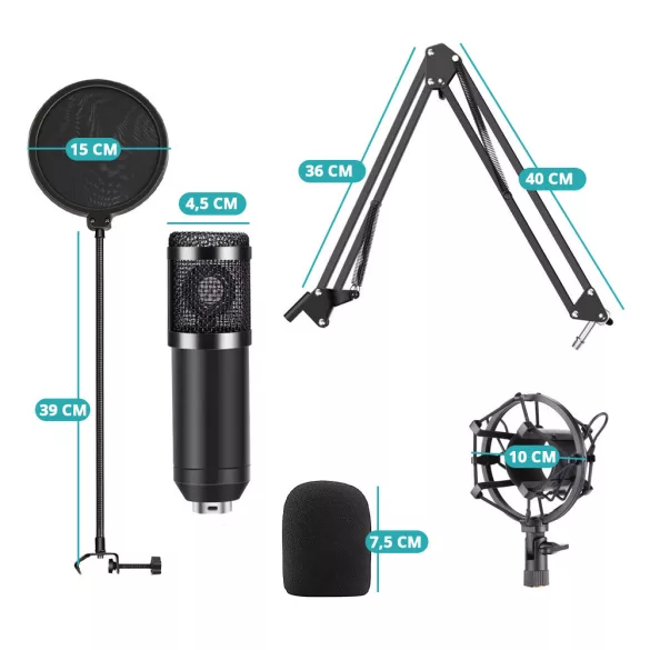 Desk-mounted Microphone with USB Connection