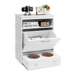 Pet Feeding Station
