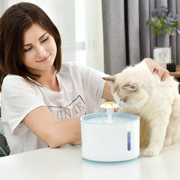 Pet Water Fountain