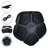 Wall-Mounted Electric Boxing Machine