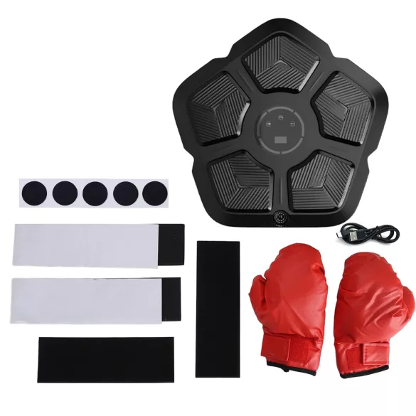 Wall-Mounted Electric Boxing Machine