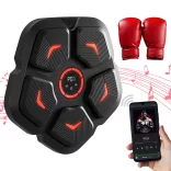 Wall-Mounted Electric Boxing Machine