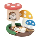 Cat Climbing Mushroom