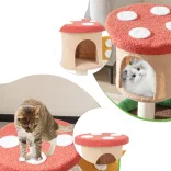 Cat Climbing Mushroom