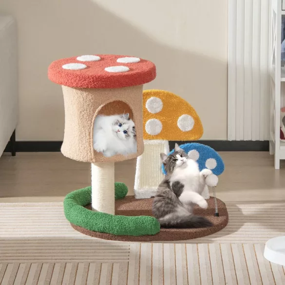 Cat Climbing Mushroom