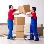 Furniture Transport Cart