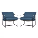 Metal Frame Chair with Cushion Set of 2