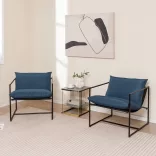 Metal Frame Chair with Cushion Set of 2