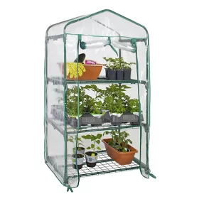 Vegetable Garden